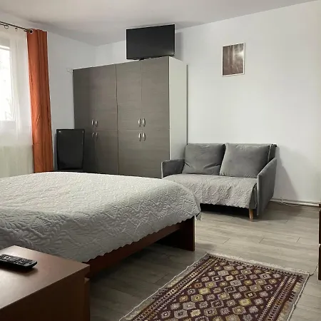 Casa Balcescu - Inchiriere Integrala Guest house *